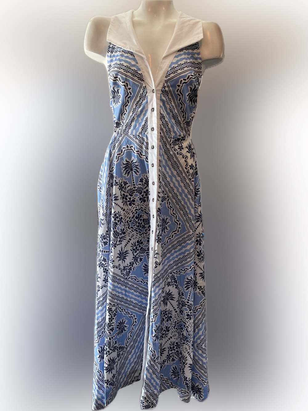 Celandine by Anthropologie Blue and White Printed Button-Front Women’s dress